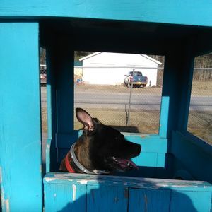 Meet your Posher, Glenda